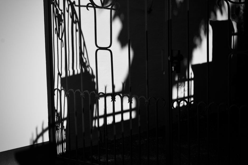 Black and white image highlighting complex shadow patterns on an ornate iron gate.
