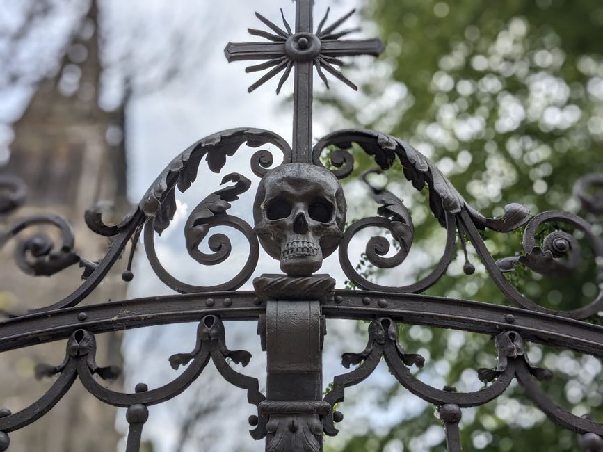 Close-up of ornate wrought iron gate outdoors.